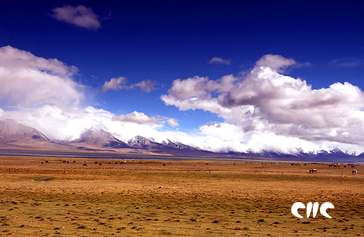 图片:雪域风光-西藏圣地日喀则
